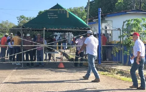 Productores de maíz de Los Santos exigen respuestas 