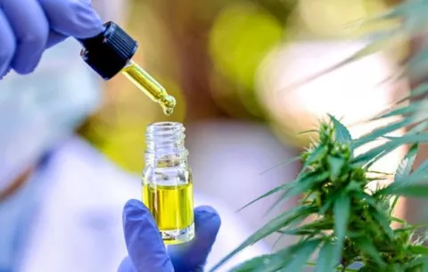 Cannabis medicinal: Minsa  admite recursos de empresas
