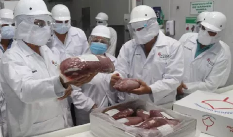 Exportar carne a EE.UU. representaría $40 millones