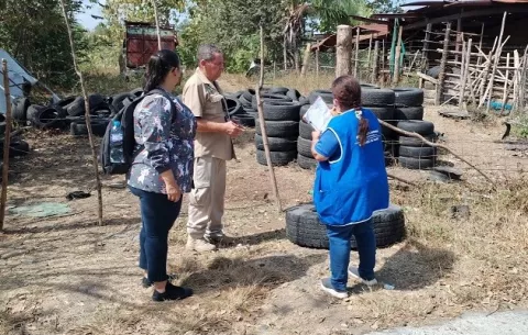 En menos de un mes, Herrera acumula 48 casos de dengue 