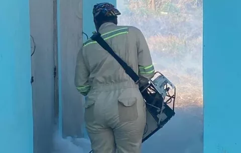 ¡Alarma! Confirman deceso de menor por dengue en Colón