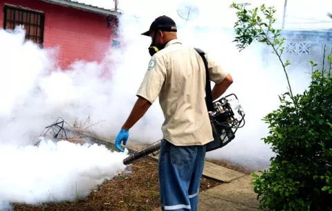 Casos de dengue en la región Metropolitana no bajan
