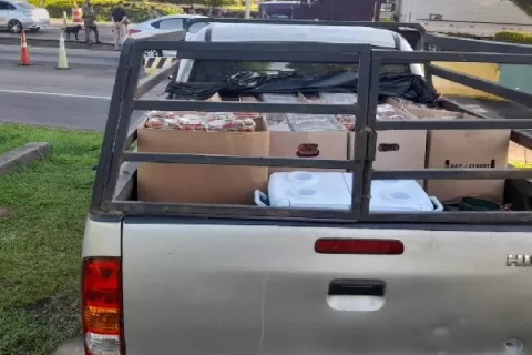 Decomisan 900 envases de fresas de contrabando en Chiriquí