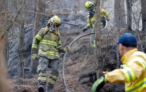 Una treintena de incendios forestales, activos en Colombia 