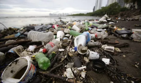 Panamá tiene una larga lista de tareas ambientales