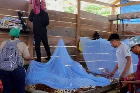 Instan a colonenses usar hasta mosquiteros contra el dengue