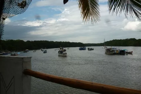 Paisajes y lo mejor en gastronomía en Puerto Mutis