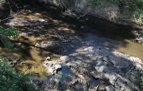 Preocupa disminución de caudal de ríos en Los Santos