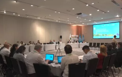 Diversificar el agro es clave para la seguridad alimentaria 