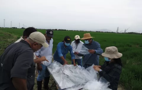 Profesionales de ciencias agropecuarias reclaman aumento