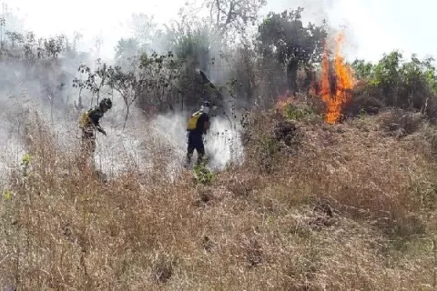 Bomberos de Colón preocupados por aumento de incendios de masa vegetal