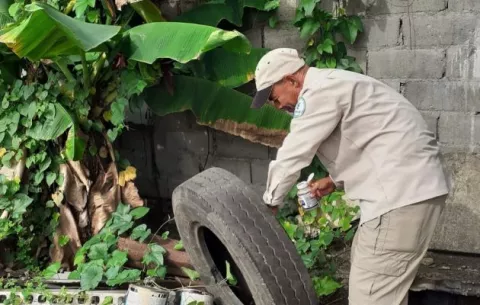 Minsa registra 2,179 casos de dengue y  6 defunciones