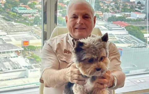 ¿En qué consiste el hospital veterinario propuesto por RM?