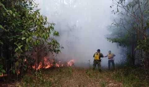Incendios podrían ser de mayor intensidad