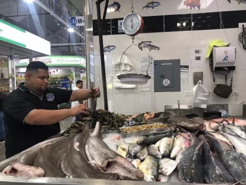 Aumenta venta de mariscos en Herrera
