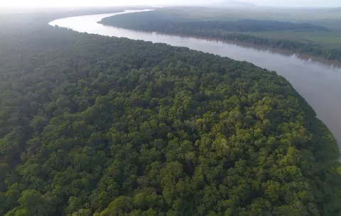 Realizan mapeo inédito de los humedales de Matusagaratí 