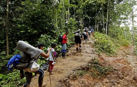 Migración irregular por Darién podría aumentan 20% en 2024