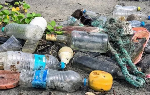 Basura: Ratas, malos olores y  diversas enfermedades