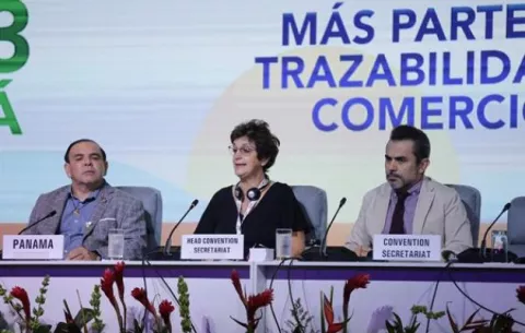 Adoptarán 'medidas decisivas' contra el contrabando de tabaco