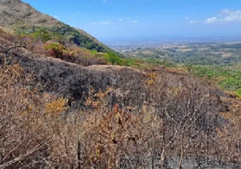 Investigan si incendio en reserva natural  fue provocado 