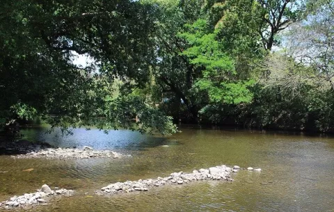 Sequía obliga a bajar  en un 50% producción de agua en Chame