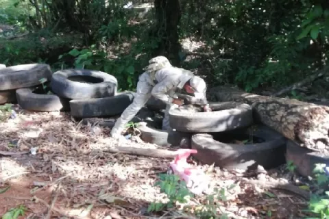 Piden sancionar a los que insisten en tener los criaderos de mosquitos