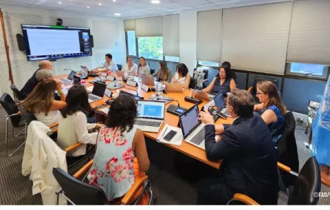 FAO debate transformación de los sistemas agroalimentarios