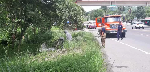Abejas africanas atacan a estudiantes en Colón