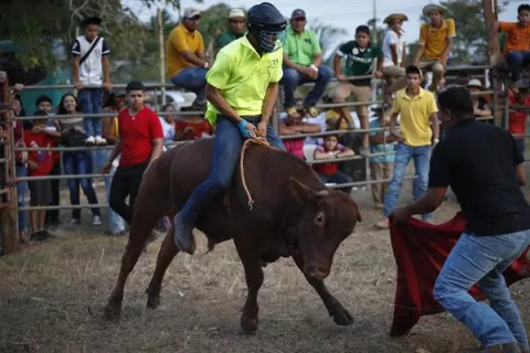 Montar toros, atracción del festival folclórico de La Mitra