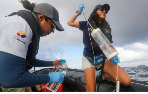 Estudian 'migravía' submarina que incluye a Panamá