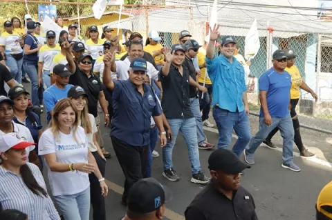 Interpretación 'ultrarestrictiva' priva a Mulino de tener vicepresidente