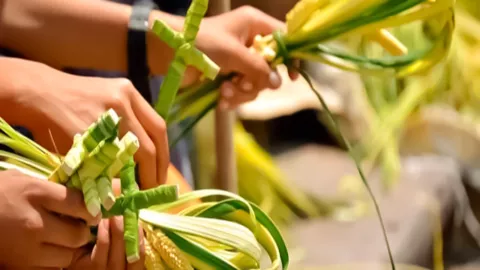 ¿Qué se hace con la palma bendita del Domingo de  Ramos?