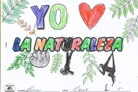 Proyecto Primates Panamá promueve educación ambiental 