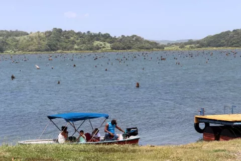 Un paseo espectacular desde La Represa hasta el Lago Gatún