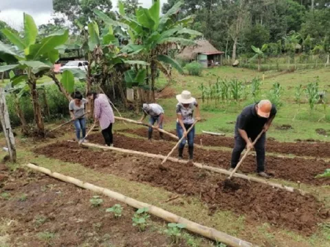 Universidad de Panamá modifica horas de servicio social