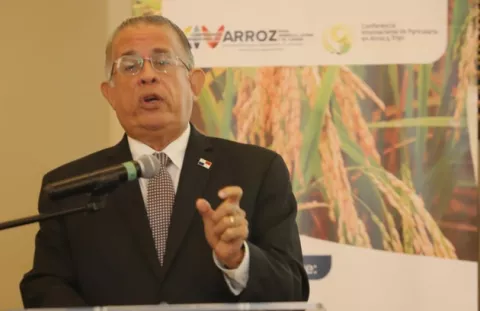 Analizarán avances en ciencia y tecnología del arroz en Panamá