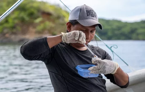 Biólogo descifra evolución de la alimentación de especies hermanas de peces