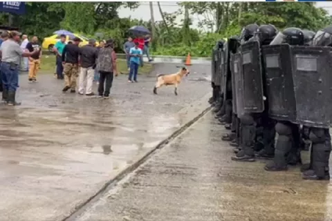 Productores en Changuinola exigen desalojo de invasores de sus terrenos