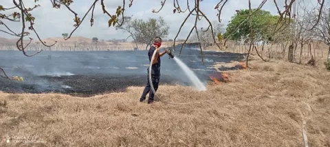 Marzo fue un mes sofocante para los bomberos