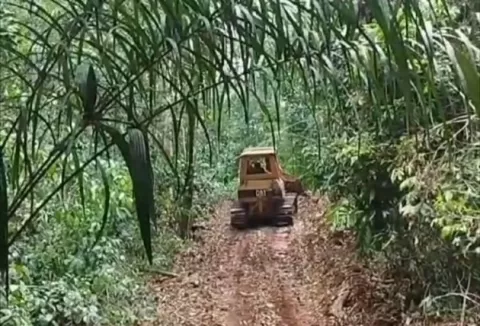 Bosques de Patiño, amenazados por dos calles hechas en tiempo récord
