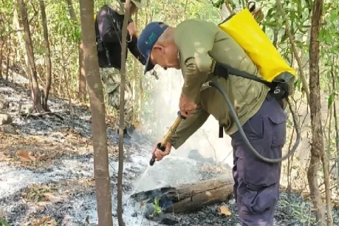 Controlan fuego con herramientas rudimentarias en Parque Nacional de Altos de Campana