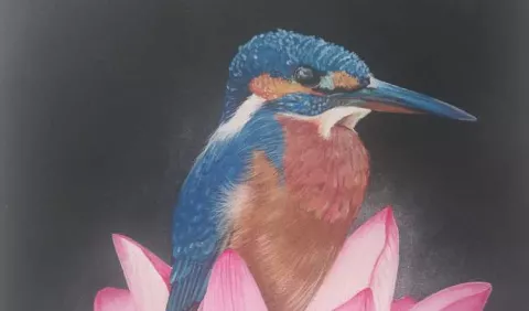  Óscar Gómez: Su arte ilumina las sombras y revela la belleza oculta
