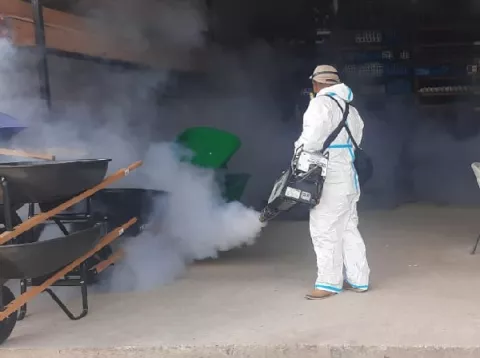 Cada día se registran 36 casos de dengue en Panamá