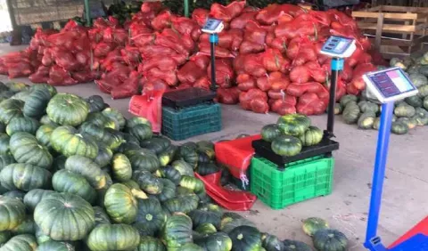 Las exportaciones de rubros agroindustriales tienen buen desempeño
