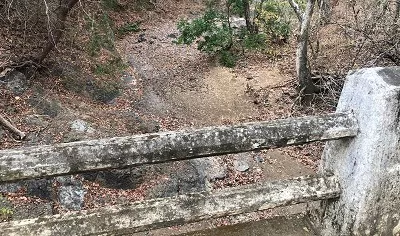 Falta de lluvias amenaza producción agropecuaria en Azuero