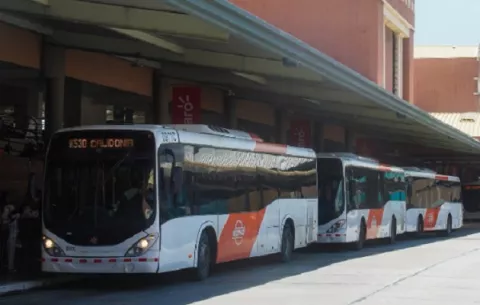 MiBus implementará programas para fomentar igualdad de género