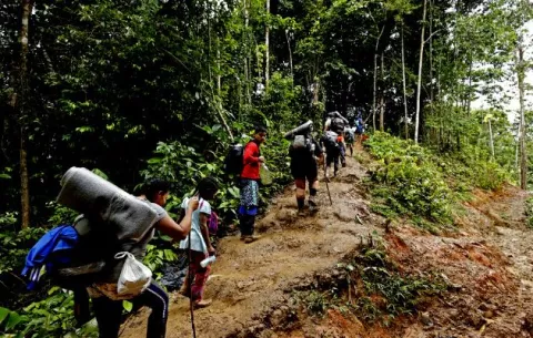  Más de 126 mil migrantes han cruzado la selva del Darién en 2024