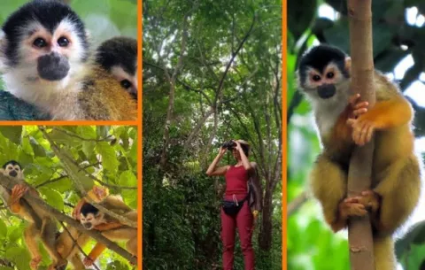 Korayma Rodríguez, una antropóloga que estudia monos en Punta Burica