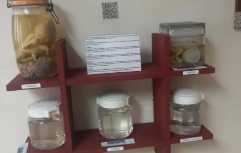 Museo Criminológico: un vistazo a la historia criminal de Panamá