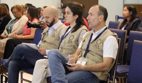 Observadores extranjeros,   relevantes en  elecciones